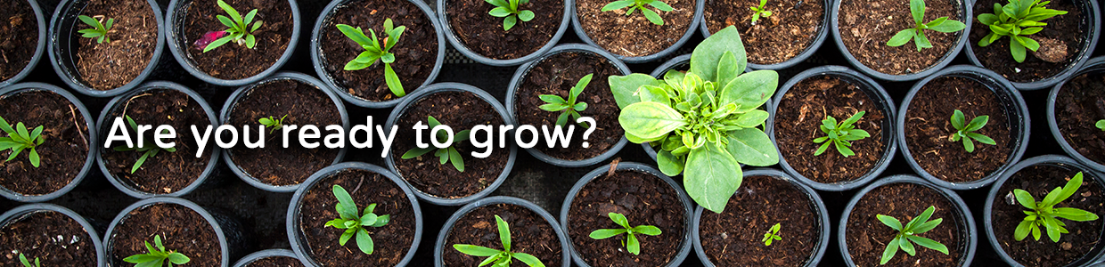 Are you ready to grow with DLP Coaching?
